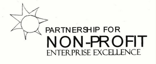 PARTNERSHIP FOR NON-PROFIT ENTERPRISE EXCELLENCE logo