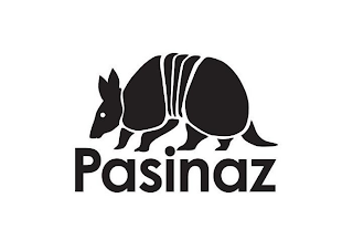 PASINAZ logo