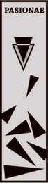 PASIONAE logo