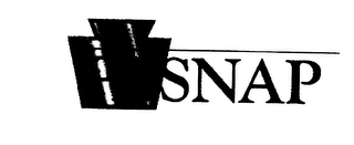 PASNAP logo