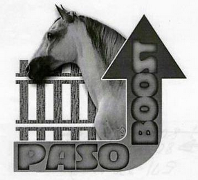PASO BOOST logo