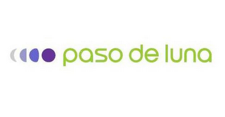 PASO DE LUNA logo