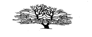 PASO ROBLES CELLARS logo