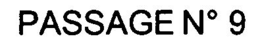 PASSAGE Nº 9 logo