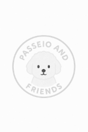 PASSEIO AND FRIENDS logo