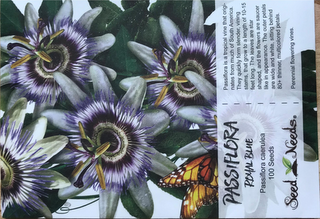 PASSIFLORA ROYAL BLUE PASSIFLORA CAERULEA 100 SEEDS SEED NEEDS PASSIFLORA IS A TROPICAL VINE THAT ORIGI-NATES FROM MUCH OF SOUTH AMERICA.  THEY QUICKLY FORM SLENDER, VINING STEMS, THAT GROW TO A LENGTH OF 10-15 FEET LONG.  THE LEAVES ARE STAR SHAPED, AND THE FLOWERS ARE SAUCER LIKE IN APPEARANCE.  THE OUTER PETALS ARE WIDE AND WHITE, SITTING BEHIND 80+ THINNER, MULTICOLORED PETALS.  PERENNIAL FLOWERING VINES. logo