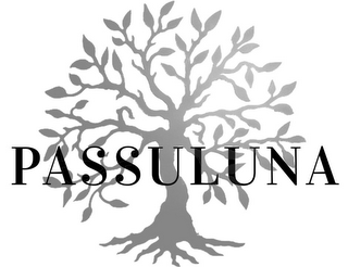 PASSULUNA logo