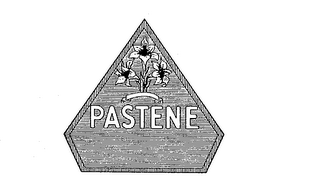 PASTENE logo