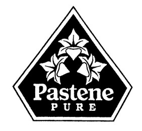 PASTENE PURE logo