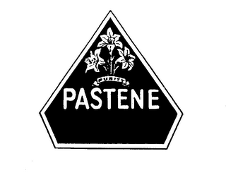 PASTENE PURITY logo