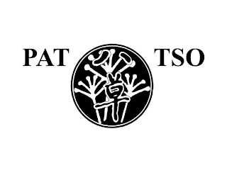PAT TSO logo