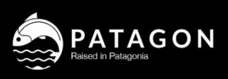 PATAGON RAISED IN PATAGONIA logo