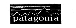 PATAGONIA logo
