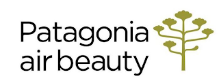 PATAGONIA AIR BEAUTY logo