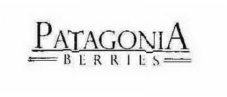 PATAGONIA BERRIES logo