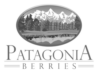 PATAGONIA BERRIES logo