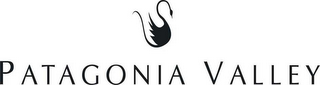 PATAGONIA VALLEY logo