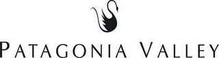 PATAGONIA VALLEY logo