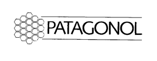 PATAGONOL logo