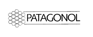PATAGONOL logo