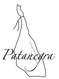 PATANEGRA logo