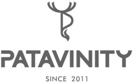 PATAVINITY SINCE 2011 logo