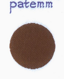PATEMM logo