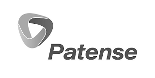 PATENSE logo