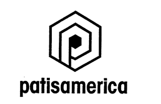PATISAMERICA logo