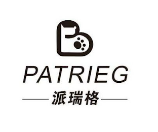 PATRIEG logo