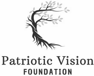 PATRIOTIC VISION FOUNDATION logo