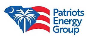 PATRIOTS ENERGY GROUP logo