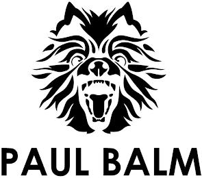 PAUL BALM logo