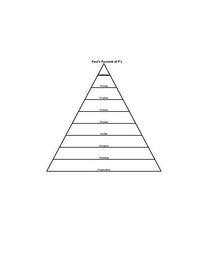 PAUL'S PYRAMID OF P'S POSITIONING PRICING PRODUCT PROCESS PRESENT PROFILE PROSPECT PLANNING PREPARATION logo