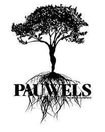 PAUWELS THE PAUWELS COMPANY logo