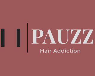PAUZZ HAIR ADDICTION logo