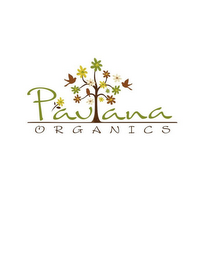 P'AVANA ORGANICS logo