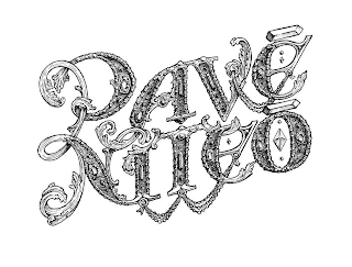 PAVE NITEO logo