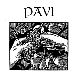 PAVI logo
