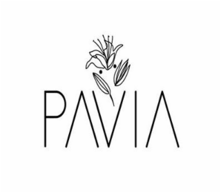 PAVIA logo