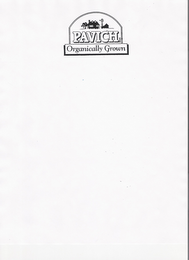 PAVICH BRAND ORGANICALLY GROWN logo
