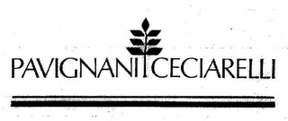 PAVIGNANI CECIARELLI