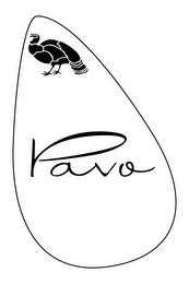 PAVO logo