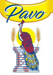 PAVO logo