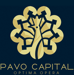PAVO CAPITAL OPTIMA OPERA logo
