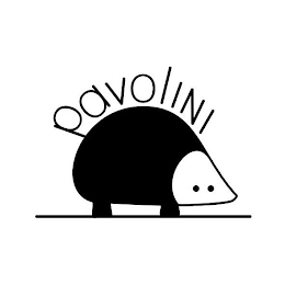 PAVOLINI logo