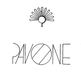 PAVONE logo
