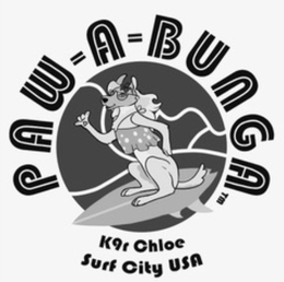 PAW-A-BUNGA K9R CHLOE SURF CITY USA logo