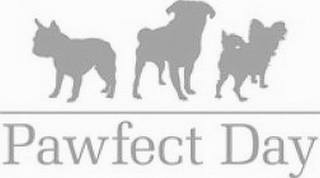 PAWFECT DAY logo