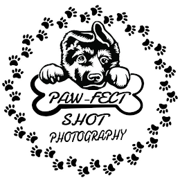 PAWFECT SHOT PHOTOGRAPHY logo
